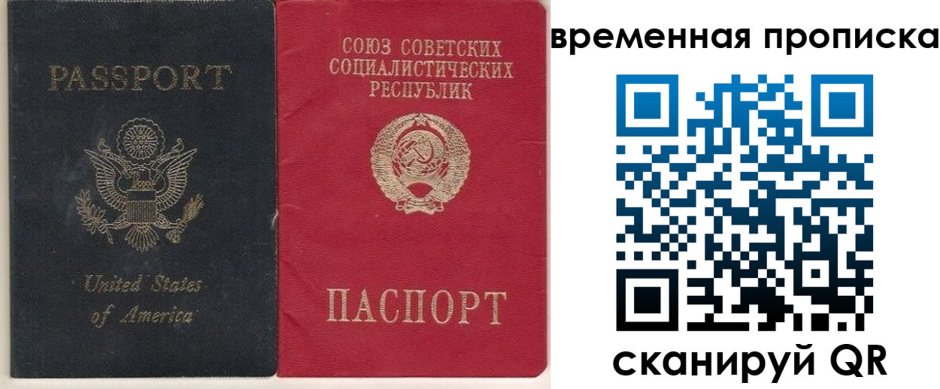 прописка для школы в Алексеевке